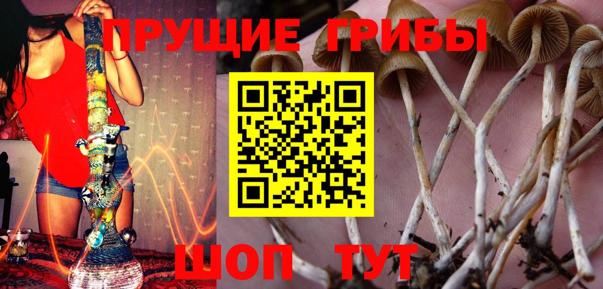 Петропавловск-Камчатский  Галлюциногенные грибы MAGIC MUSHROOMS  Вход с VPN 